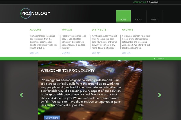 pronology theme websites examples