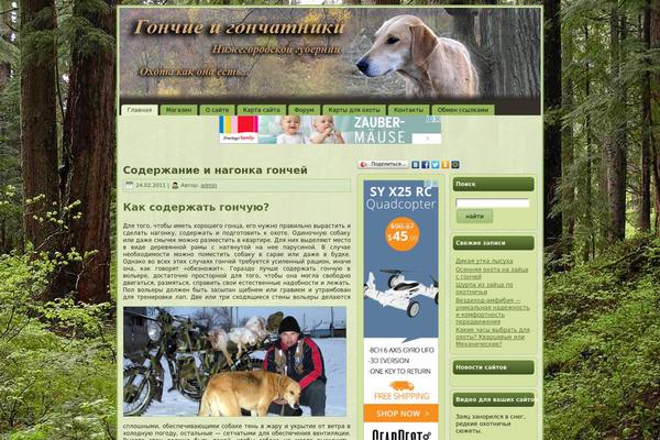 prookhotu.ru site used Darkforrest02