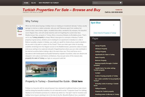 businezz theme websites examples
