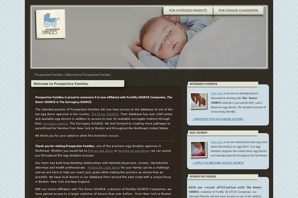 Ubminim theme site design template sample