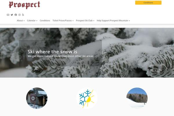 prospectmountain.com site used Prospect_theme