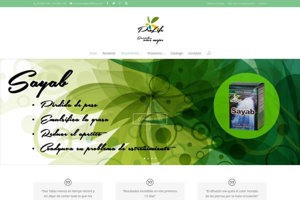 Divi theme site design template sample