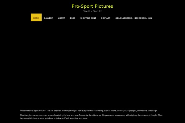 Photocrati theme site design template sample