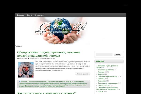 protectionlife.ru site used Seos
