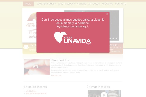 provida.org.mx site used Provida