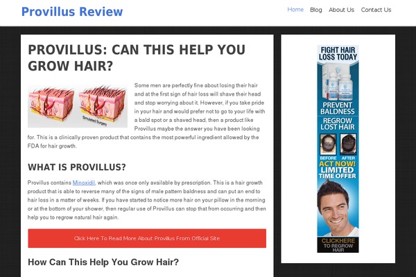 WordPress website example screenshot