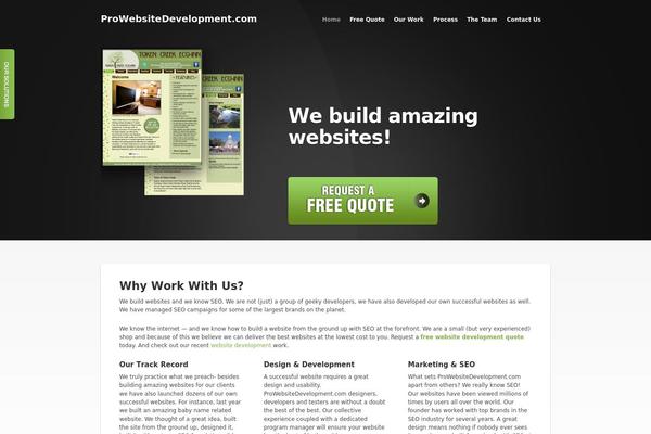 Thedeveloper theme site design template sample