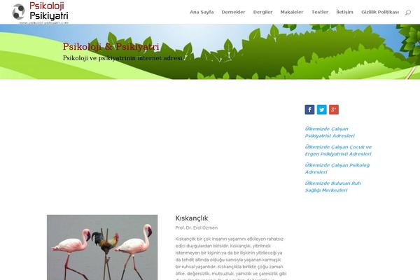 Divi theme site design template sample