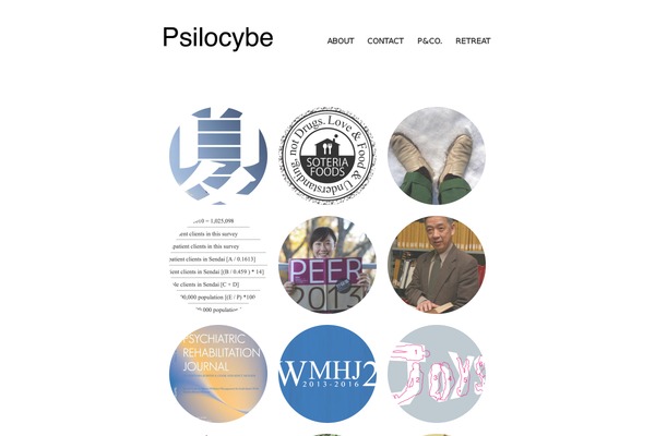 psilocybe.co.jp site used Spun