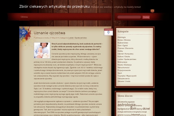 WordPress website example screenshot