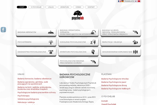 psychelab.pl site used Theme1389