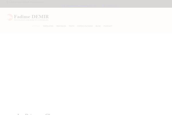 Cloe-brooks theme site design template sample