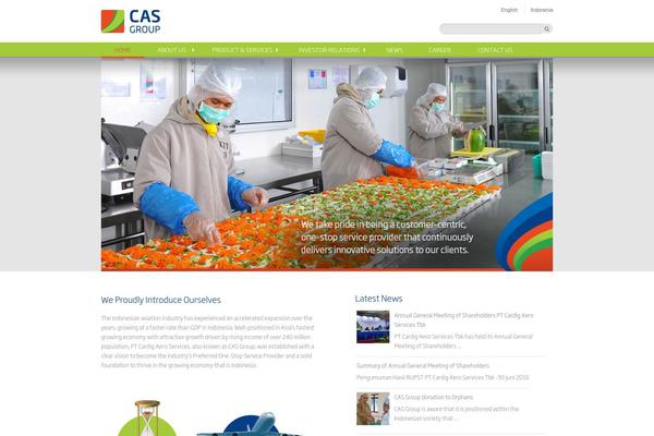 pt-cas.com site used Casnew