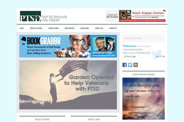 News Pro theme site design template sample