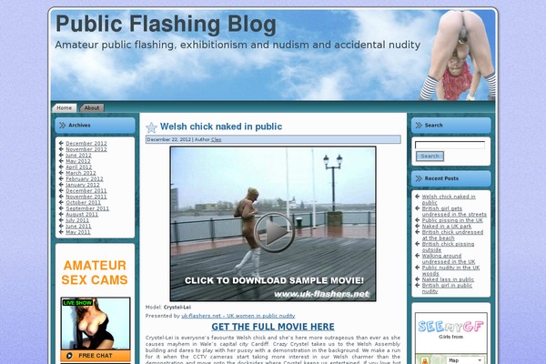 publicflashingblog.info site used Flashing