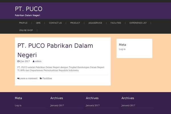 puco-eng.com site used Brawny