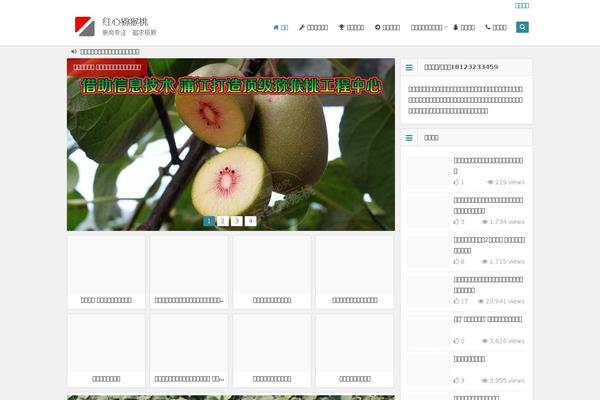 pujiangmihoutao.com site used Begin1
