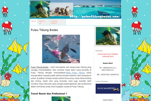 pulautidungbodas.com site used Newspaper-eye