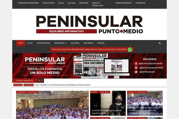 puntomedio.mx site used Daily-news