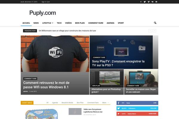 WordPress website example screenshot