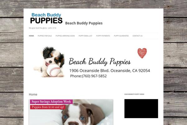 Site using Contact Form by BestWebSoft plugin