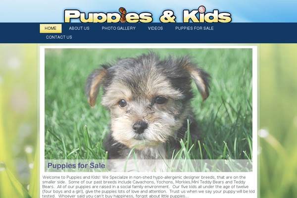 Site using Elementor-pro plugin