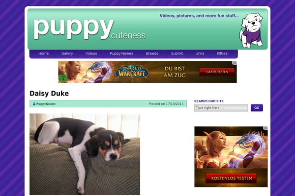 puppycuteness.com site used Puppycuteness