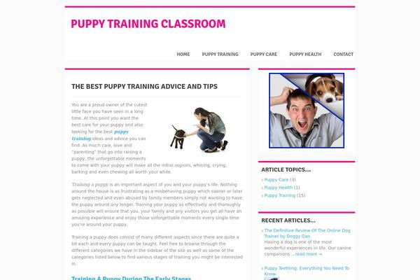 puppytrainingclassroom.com site used Groovy