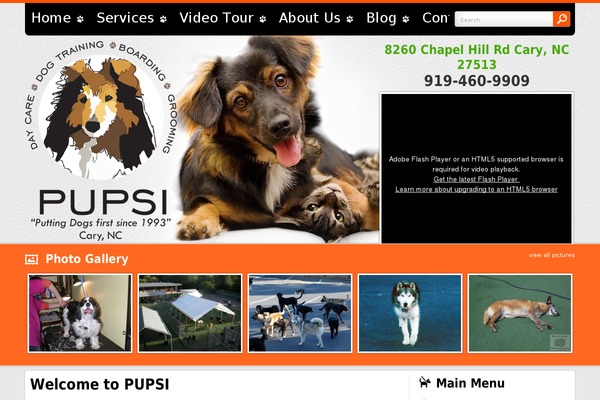 pupsiinc.com site used Pupsi
