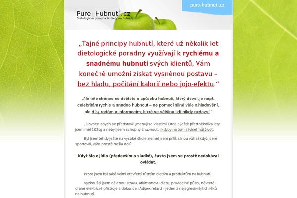 Lime Slice theme site design template sample