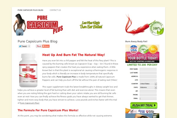 WordPress website example screenshot
