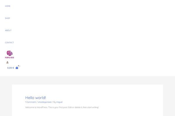 Astra theme site design template sample