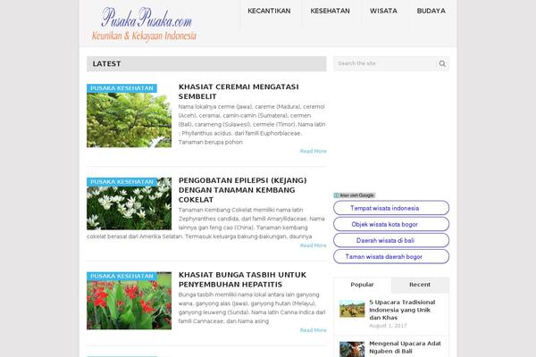 WordPress website example screenshot