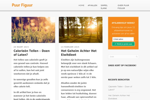 puurfiguur.nl site used Puurfiguur