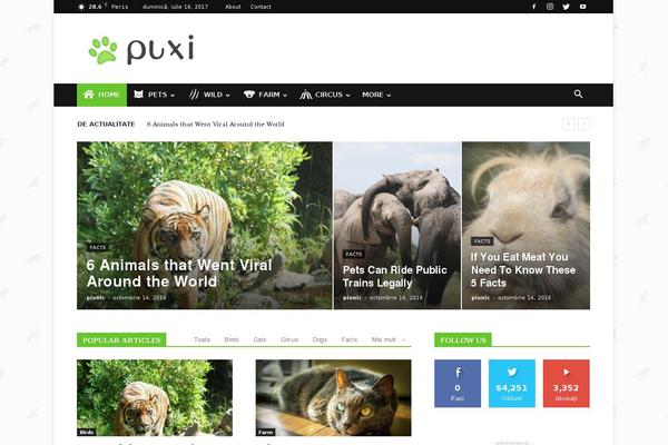 puxi.ro site used Newspaper