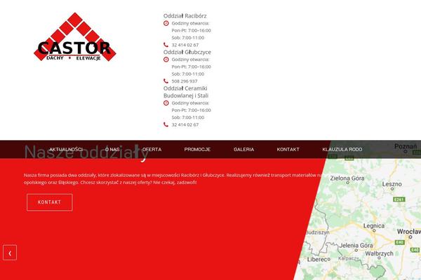 pwcastor.pl site used Business-consultant-finder-pro