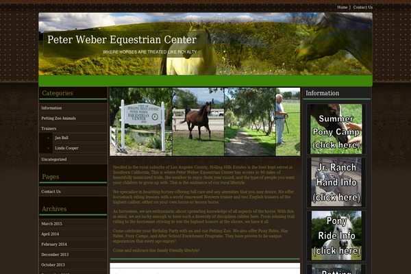 Horse theme site design template sample