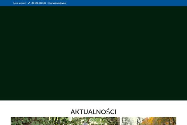 Site using Contact Form 7 plugin