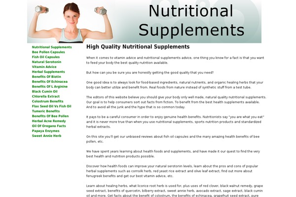 WordPress website example screenshot