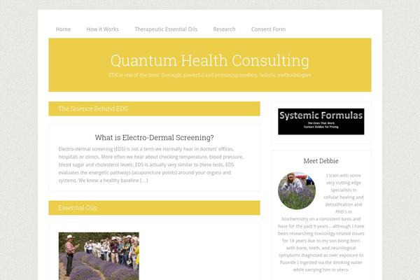 Lifestyle Pro theme site design template sample