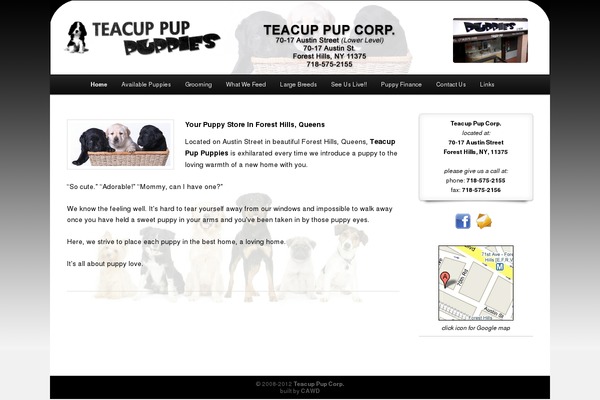 Twenty Eleven theme site design template sample