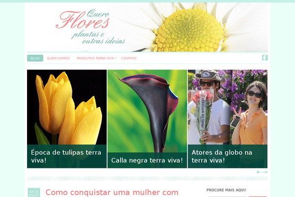 queroflores.com.br site used Chamomile