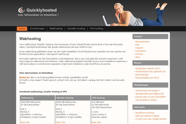 WordPress website example screenshot