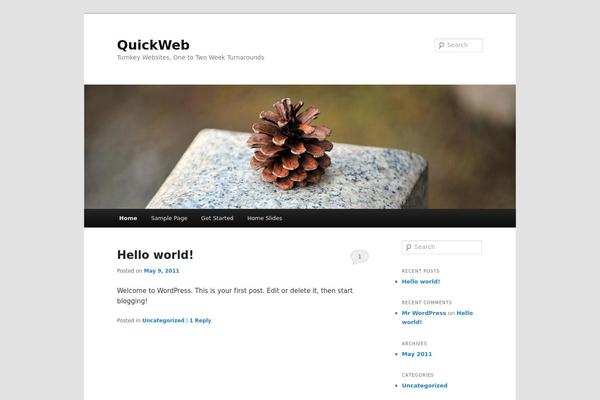WordPress website example screenshot