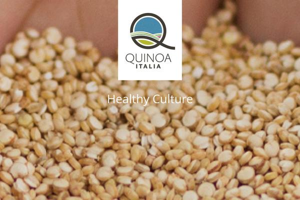 quinoaitalia.com site used Quinoa