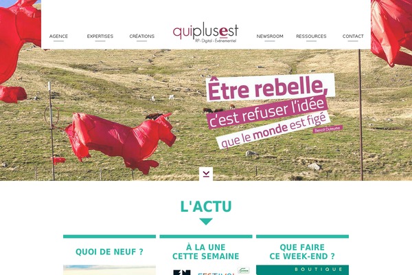 quiplusest theme websites examples