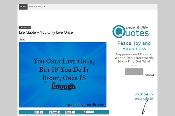Site using Social Pug - Easy Social Share Buttons plugin