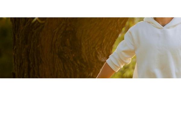 Site using Elementor-pro plugin