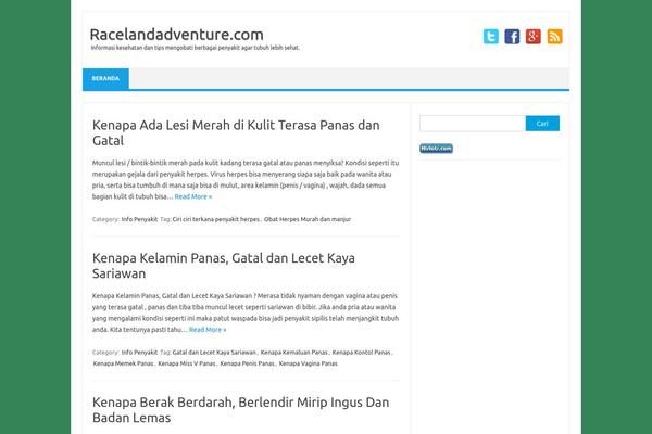 WordPress website example screenshot