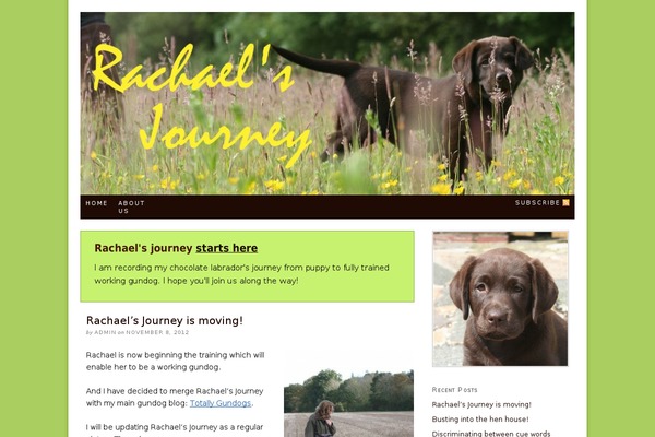 rachaelsjourney.com site used Thesis 1.8.5
